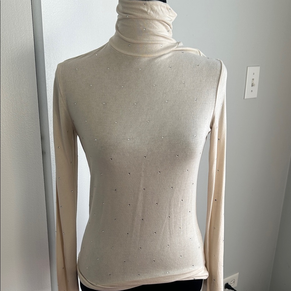 Express Cream Turtleneck Sweater with Subtle Embellishments